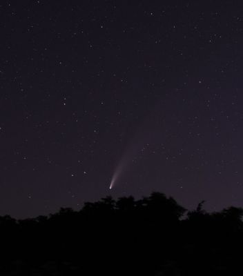 DSC_3899c.jpg